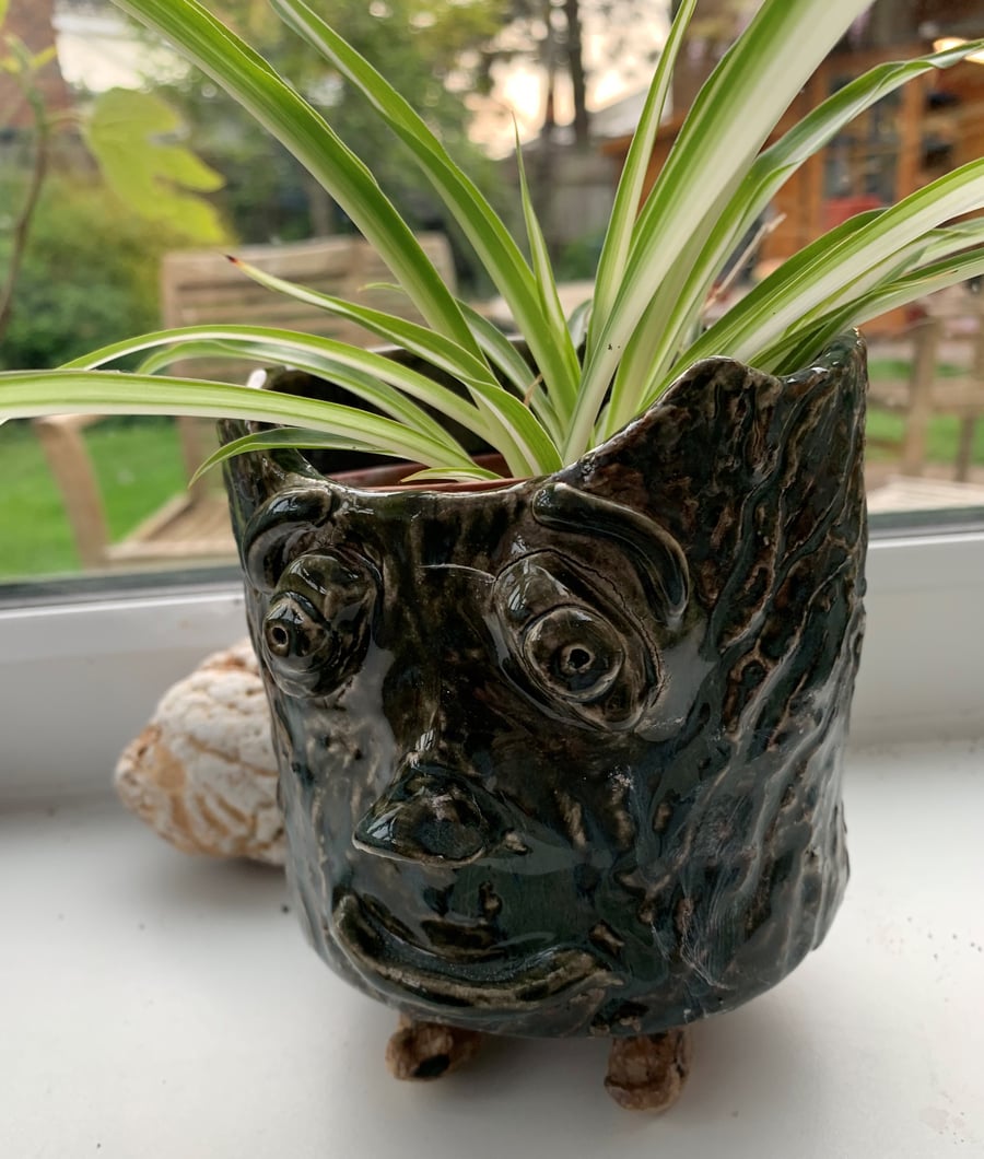 Quirky plant pot character
