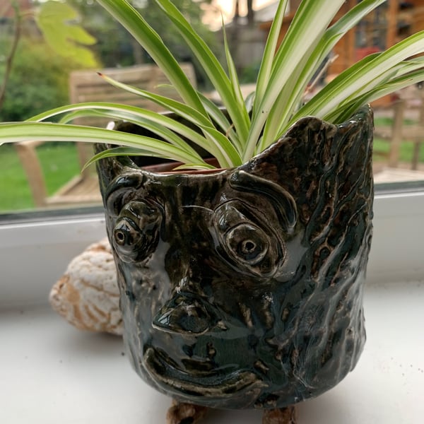 Quirky plant pot character
