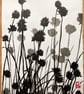 Botanical art, Garden Chives, shadow painting, original, handmade, signed