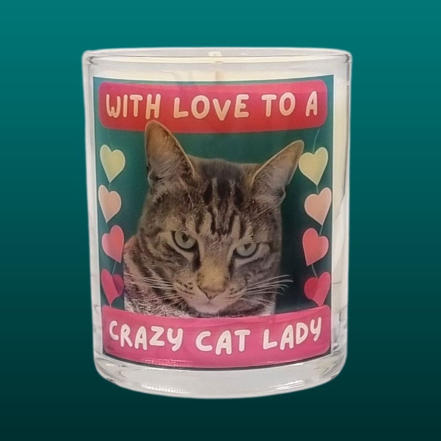 Soy Wax Scented Candle in Glass Crazy Cat Lady Bengal Design 30cl 