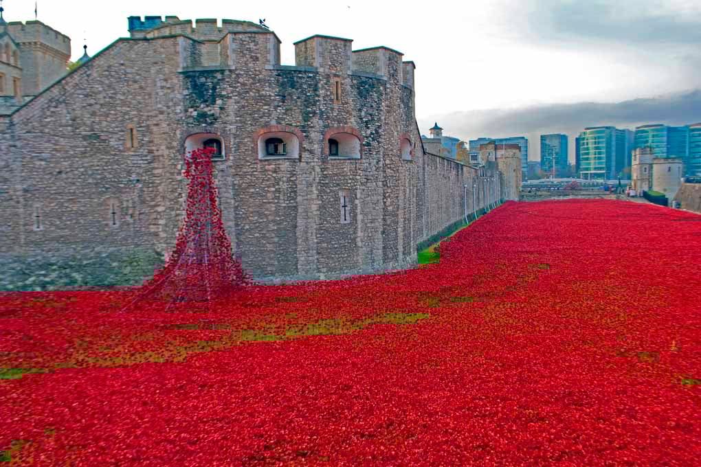 Tower Of London Red Poppy England Photograph Print