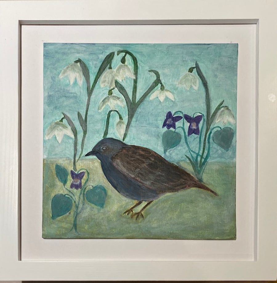 Dunnock and snowdrops