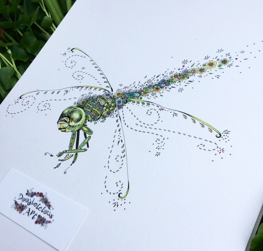 Green Dragonfly print 12 x 15” mounted, ready to frame