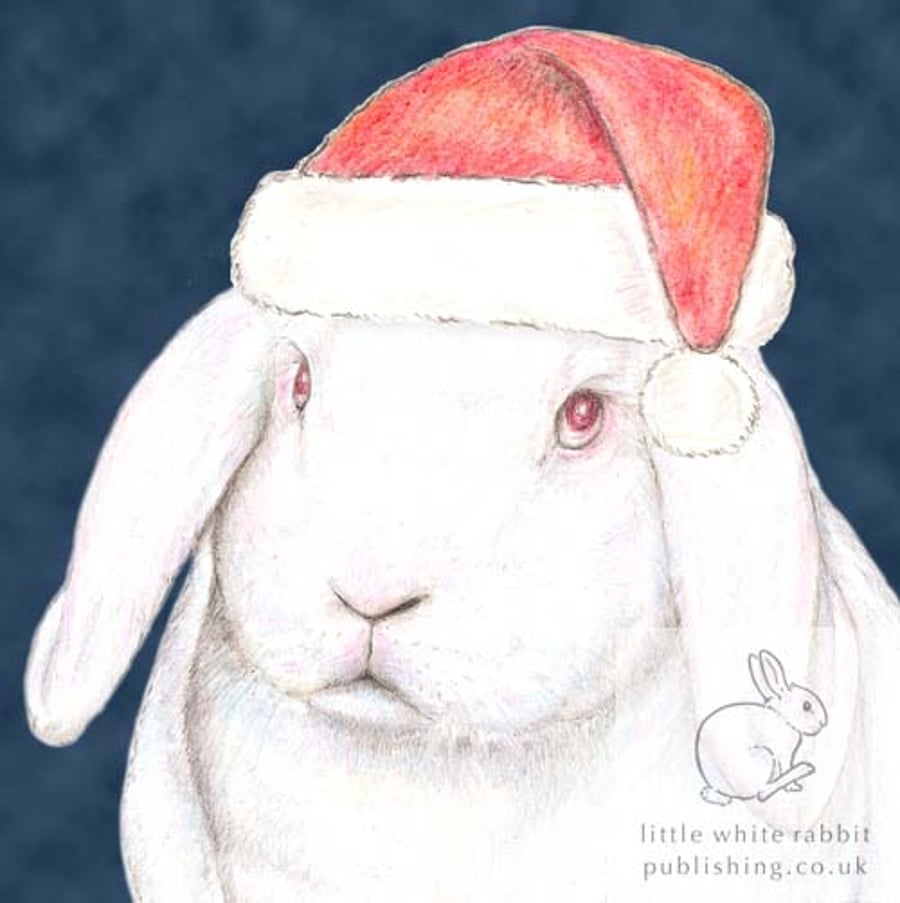 Mr C the White Rabbit - Christmas Hat Card