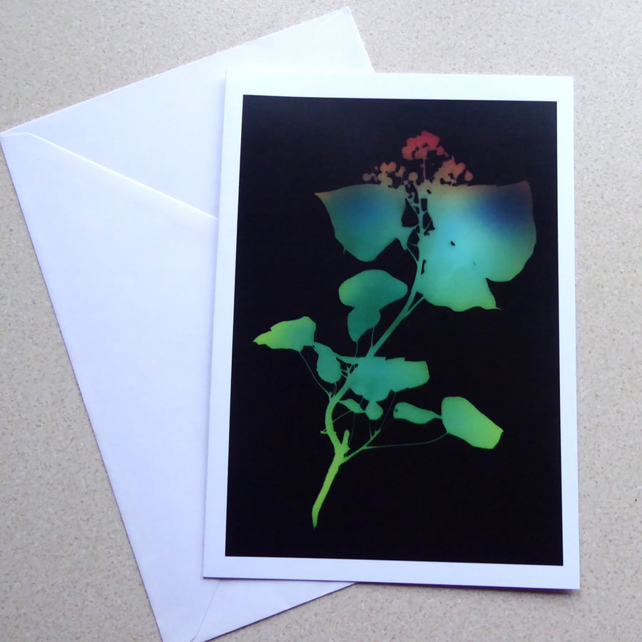 Ivy Christmas Card A5 size 