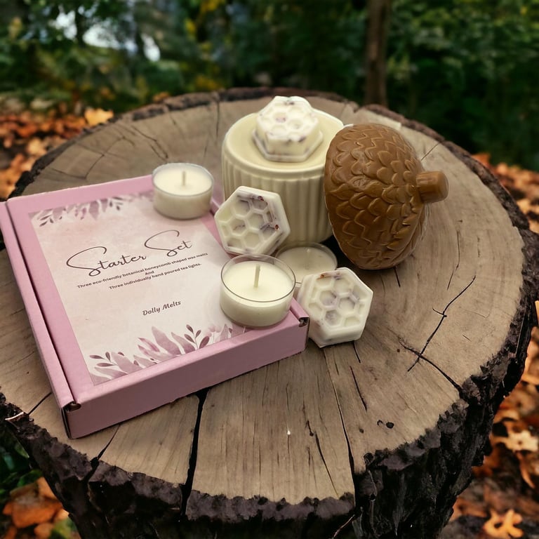 ACORN Gift Set, Includes Wax Melt Burner and Starter Set