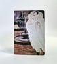 Mini A7 Photo Zine,Musical History of Spain, eight of my own photographs