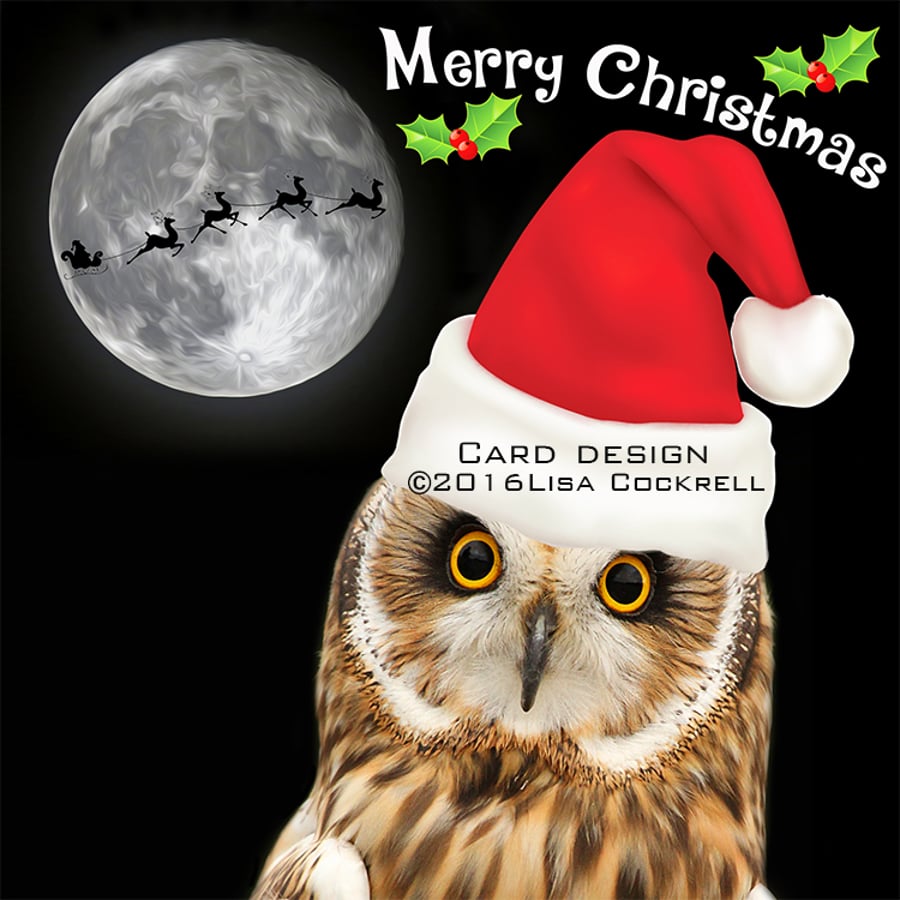 Handmade Owl Moon Santa Hat Christmas Card