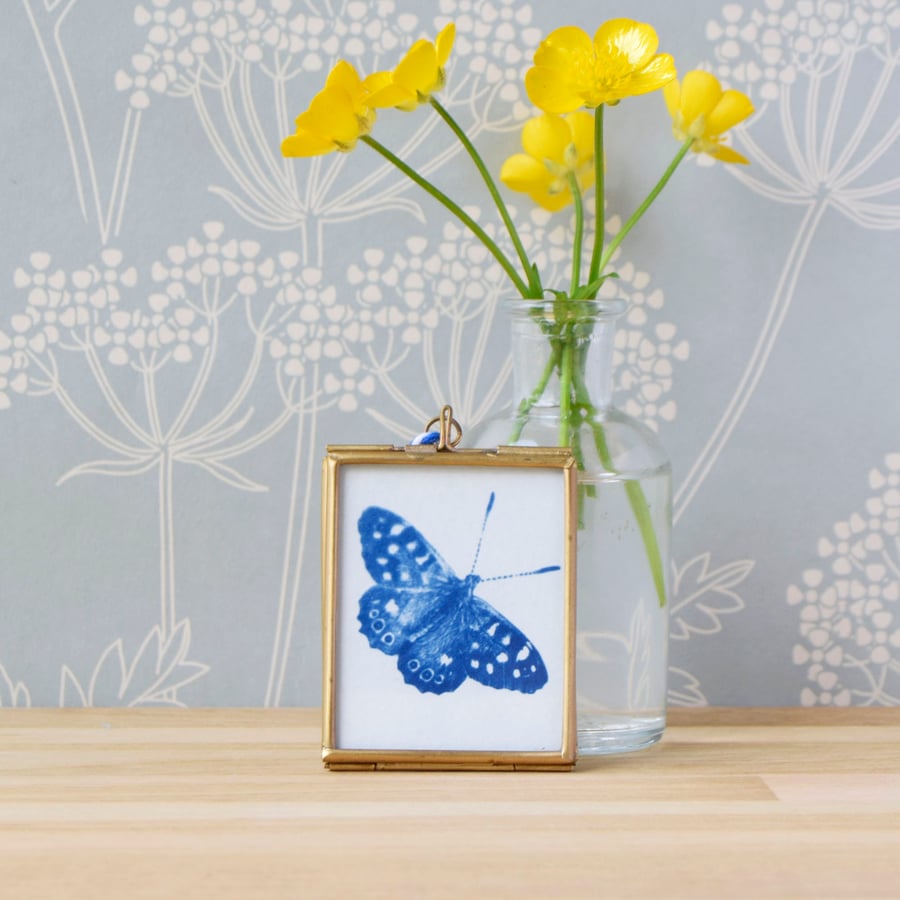 Cyanotype Butterfly in gold edged hanging frame