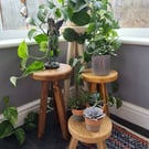 Plant Pot Stand - Reclaimed Scaffold Board Plant Pot Stool
