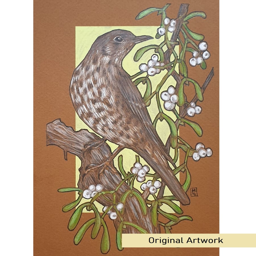 A Mistle Thrush with Mistletoe original drawing, small artwork, bird wall art