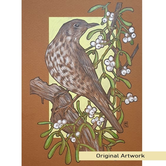 A Mistle Thrush with Mistletoe original drawing, small artwork, bird wall art