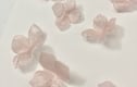 Silk Embellishments