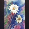 aceo SFA original miniature watercolour painting flowers daisies