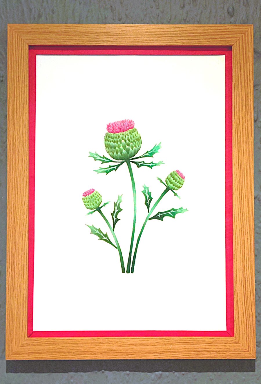 Genuine Made in UK Framed A3 Print Scottish Thistles Vibrant Red Border Wallart
