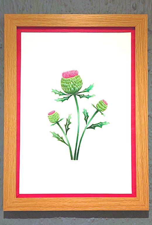 Genuine Made in UK Framed A3 Print Scottish Thistles Vibrant Red Border Wallart