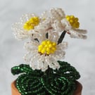 French Beaded Daisies