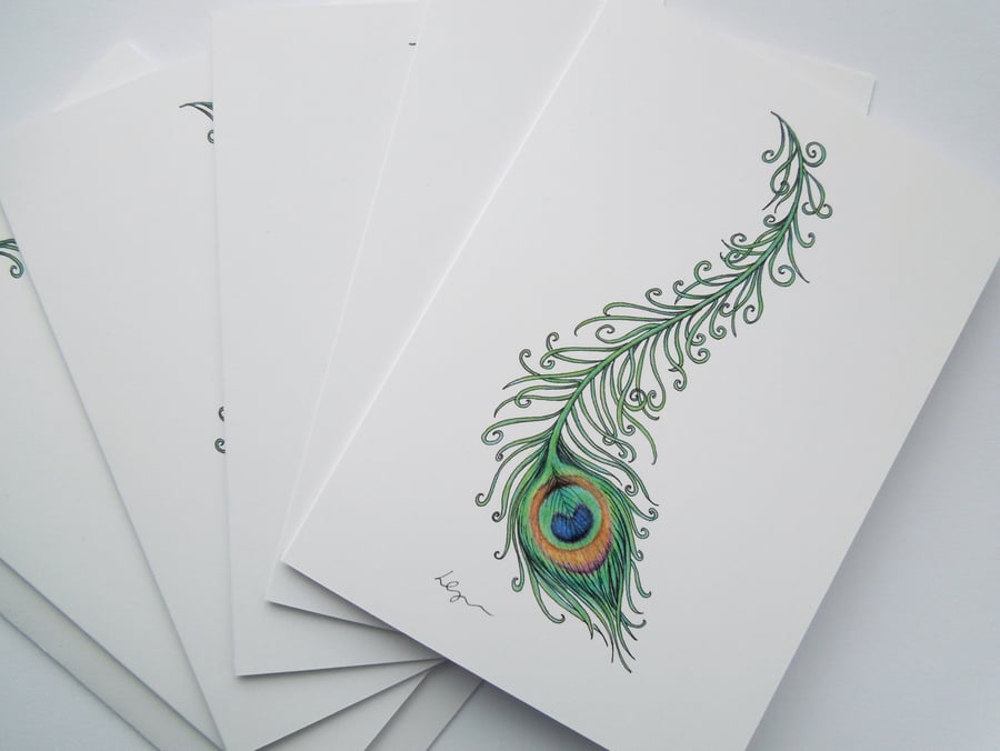 Peacock Feather 5 pack fine art greeting cards with envelopes