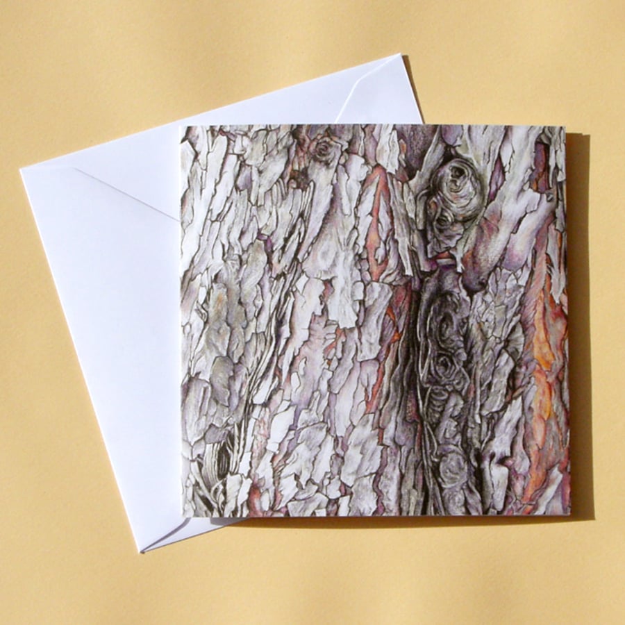 Greetings Card - Blank - Dawn Redwood Tree Bark
