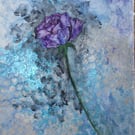 Julia's Rose.