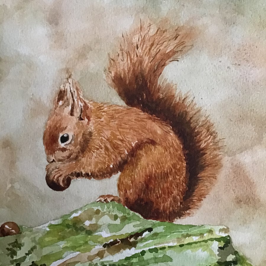 Red Squirrel original watercolour painting