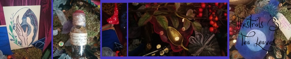 Whimsical and Curious