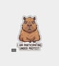Funny Die Cut Vinyl Sticker - Under Protest Capybara