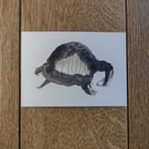 Badger & Spider Postcard