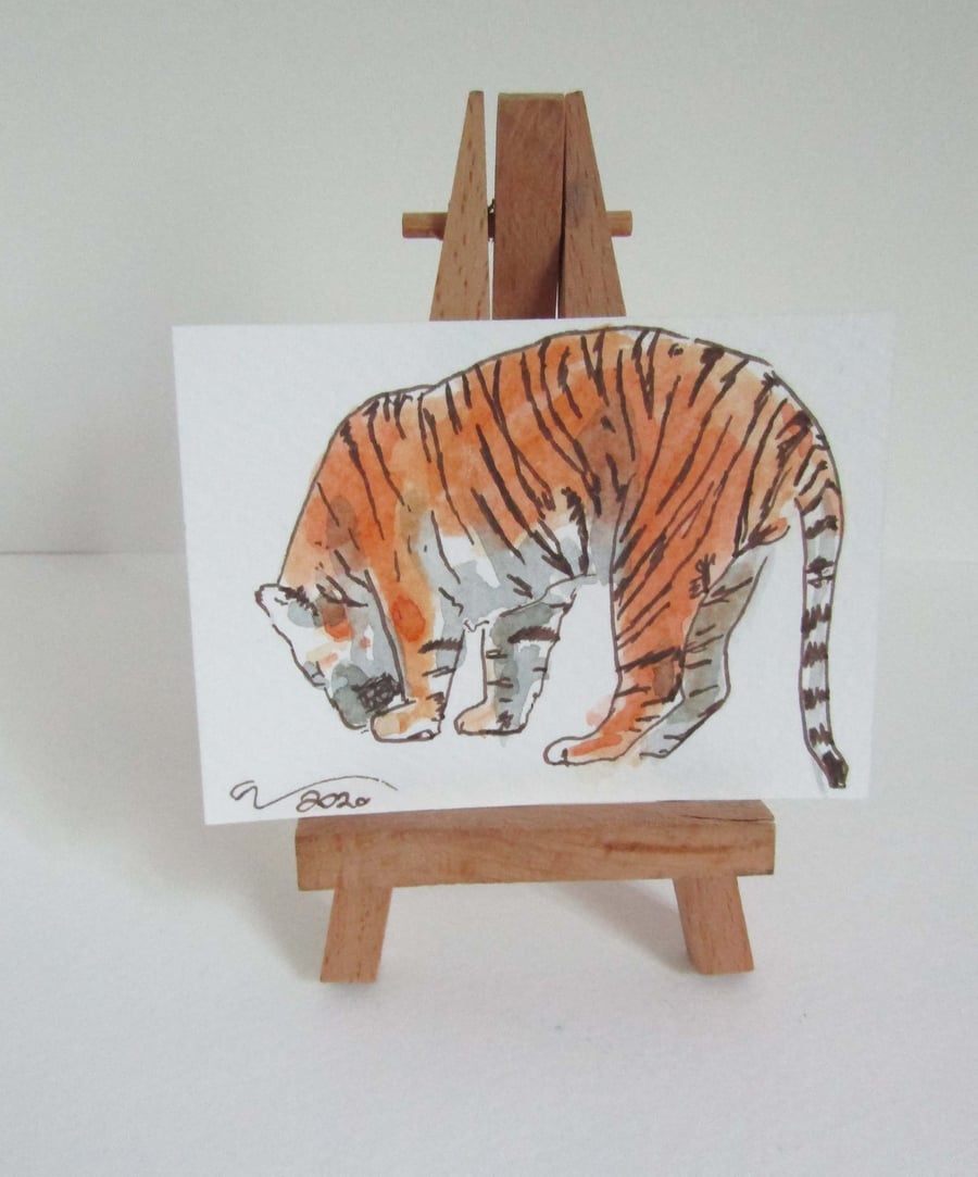 ACEO Art Tiger Sniff Original Watercolour & Ink Painting OOAK