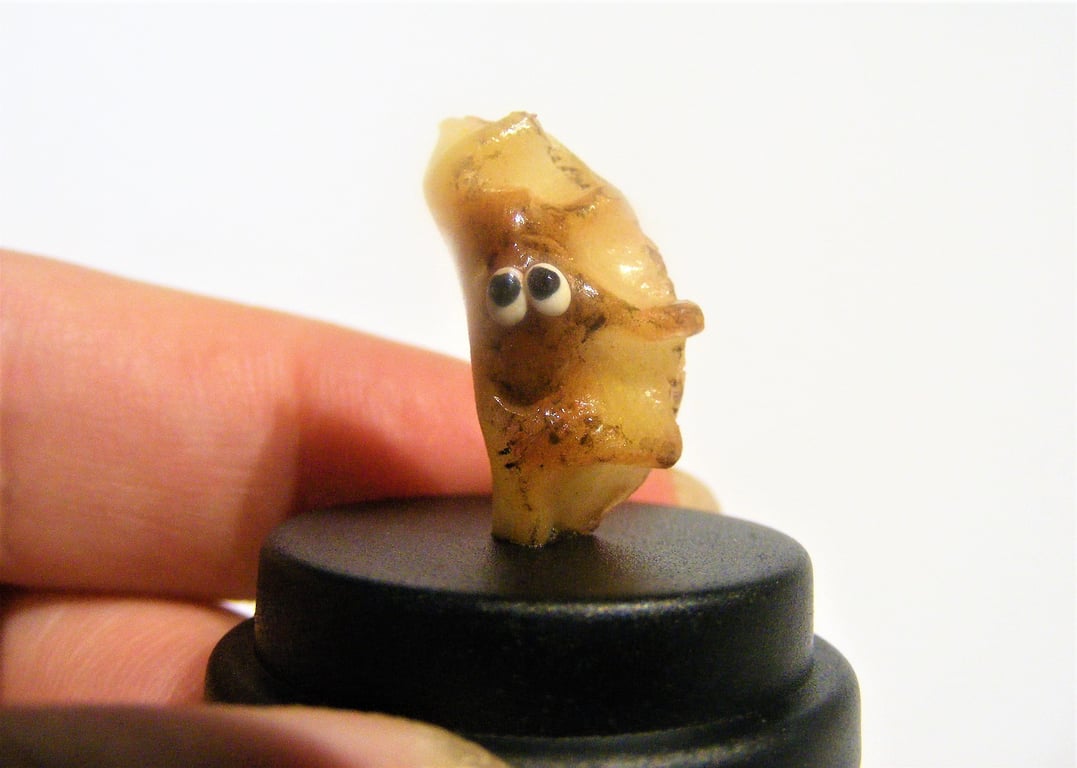 Pet Potsticker, Pet Gyoza, Jiaozi, Japanese dumplings Fried dumplings Chinese