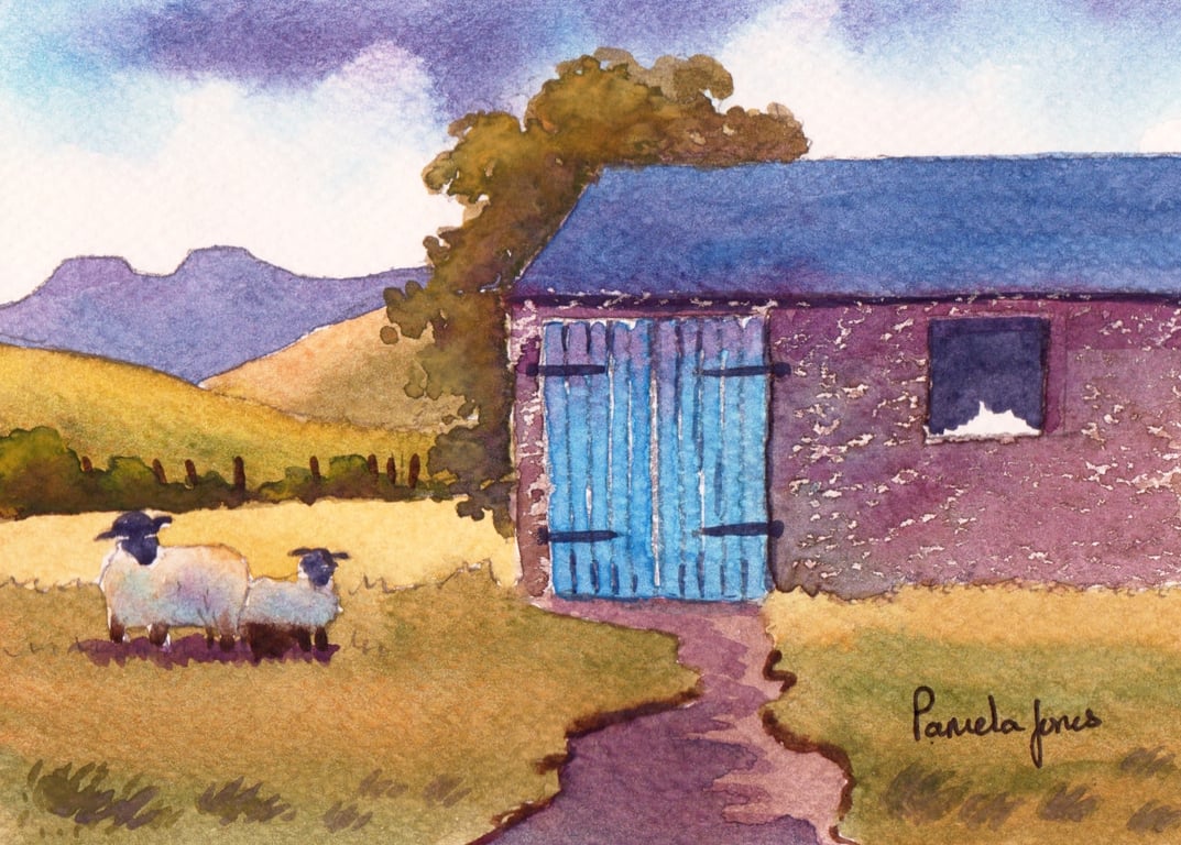 Sheep, Barn, The Brecon Beacons, South Wales, in 8 x 6 '' Mount