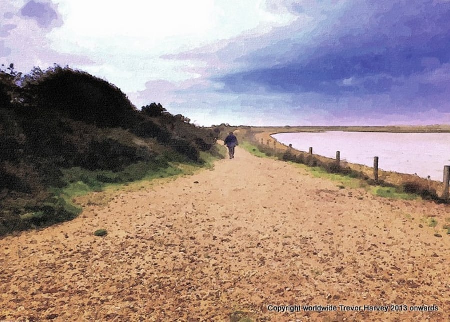 ACEO Exclusive Collector Art Print - Pagham Harbour, Sussex