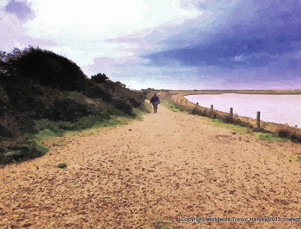 ACEO Exclusive Collector Art Print - Pagham Harbour, Sussex