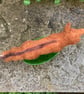 Fox woollen sculpture, needle felted animal, standing fox (24-2) - Image 4