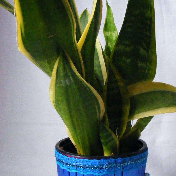 Handmade Metallic blue indoor plant pot holder
