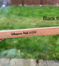 Ollivanders Wand Holder Display Stand - Image 4