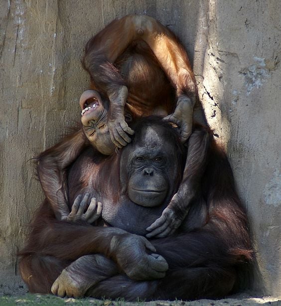 Parenthood: No Laughing Matter Greeting Card