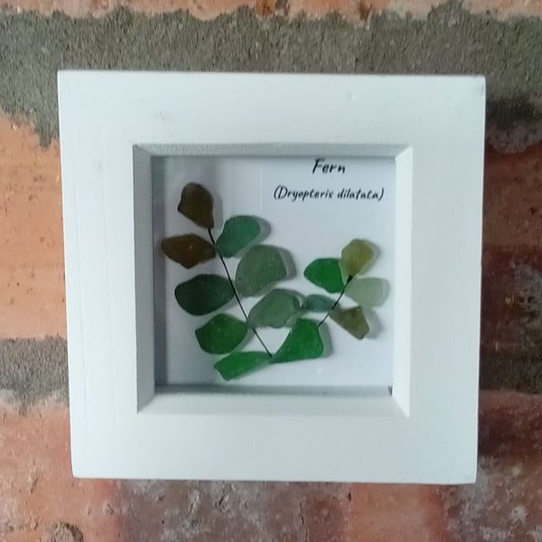 Scottish Seaglass Fern framed picture