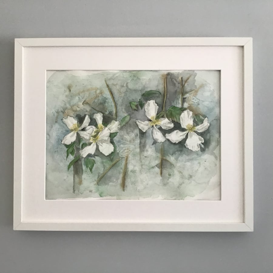 Climbing Clematis - Original Watercolour