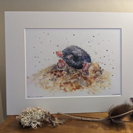 Mole, an A4 signed print of an original painting