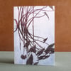 Blank Fine Art Card with Envelope