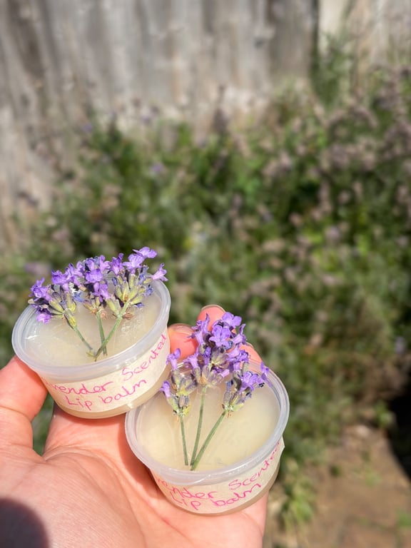 Lavender Scented Lip Balm