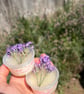 Lavender Scented Lip Balm