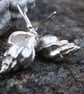 Winkle Shell Earrings  - Image 2
