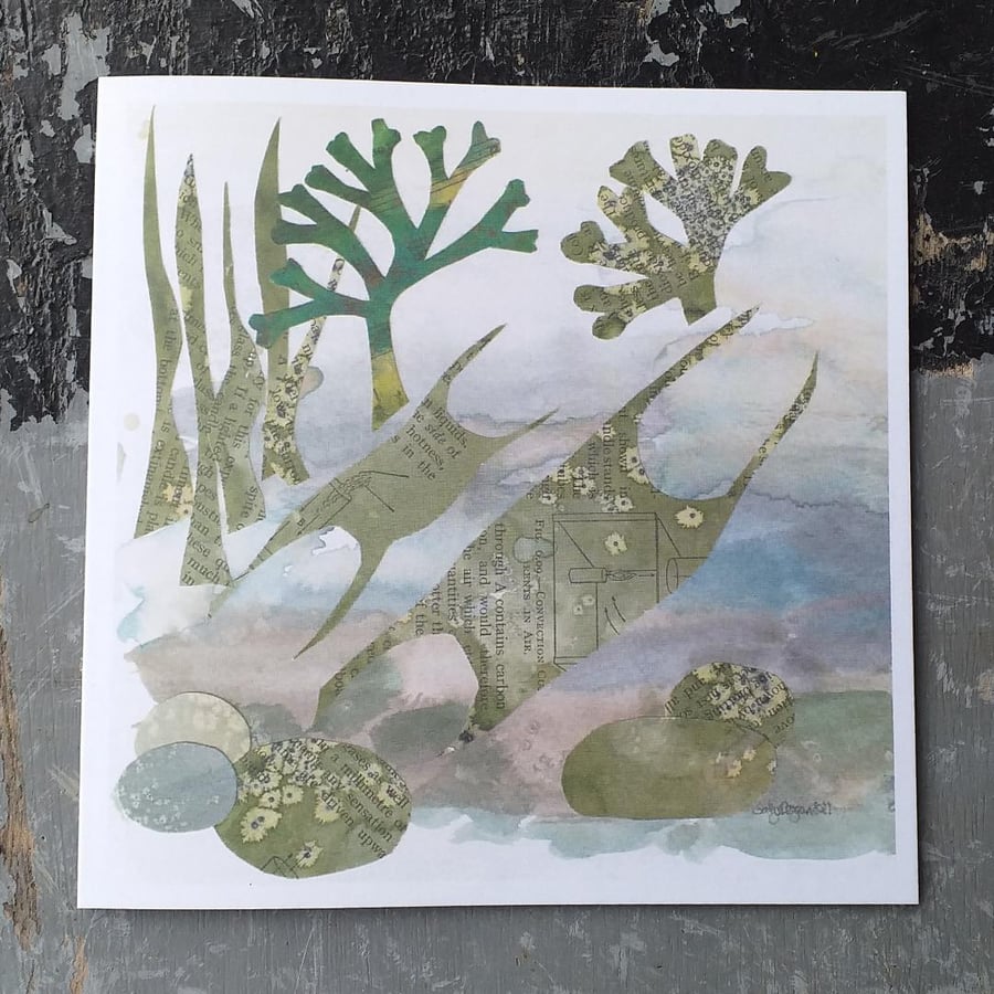 Mermaids Purses Greetings Card