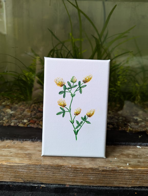Golden Trefoil Flower Acrylic Painting 