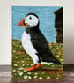 Puffin Card