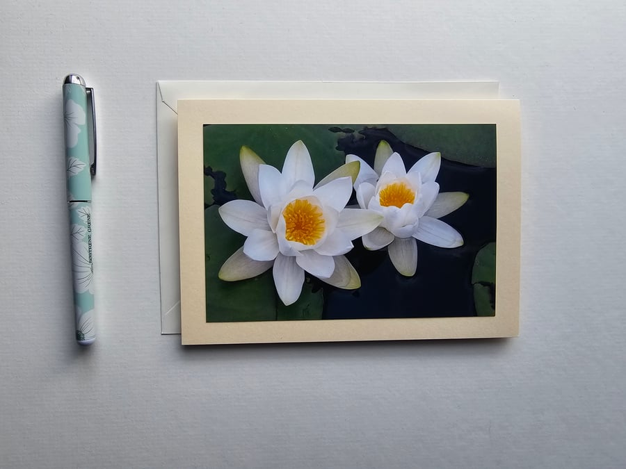 Pembrokeshire Waterlilies Photographic Card Size 7" x 5" 