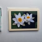 Pembrokeshire Waterlilies Photographic Card Size 7" x 5" 