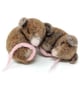 The Crafty Kit Company 'Sleepy Mice' Needle Felting Kit